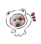 まるまるマロン（個別スタンプ：37）