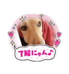黄色いお方5（個別スタンプ：3）