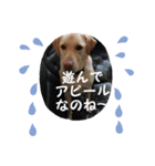 黄色いお方5（個別スタンプ：5）