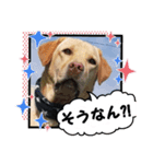 黄色いお方5（個別スタンプ：8）