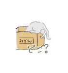 おしゃれ犬ネコと使いやすい文字スタンプ（個別スタンプ：7）