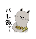 撮影現場で働くねこさん（個別スタンプ：6）