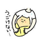 おくるみネコ（個別スタンプ：19）