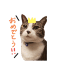 ララくんとモモちゃんスタンプ（個別スタンプ：1）
