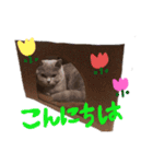ララくんとモモちゃんスタンプ（個別スタンプ：6）