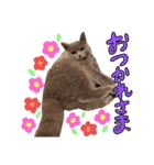 ララくんとモモちゃんスタンプ（個別スタンプ：10）