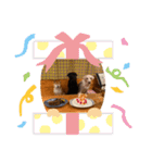 わん友部（個別スタンプ：11）