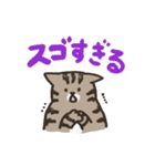 おうち猫のスタンプ 1（個別スタンプ：6）