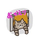 おうち猫のスタンプ 1（個別スタンプ：20）