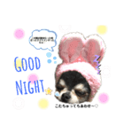 りぼんちゃん♡スタンプ（個別スタンプ：2）