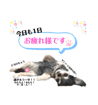 りぼんちゃん♡スタンプ（個別スタンプ：4）