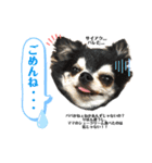 りぼんちゃん♡スタンプ（個別スタンプ：5）