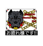 Japan2020americanbullyclub（個別スタンプ：1）