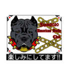 Japan2020americanbullyclub（個別スタンプ：5）