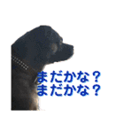 僕、デニローです。②（個別スタンプ：16）