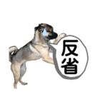 僕、デニローです。②（個別スタンプ：37）