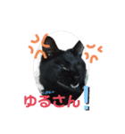 ほたるとこまち（個別スタンプ：3）