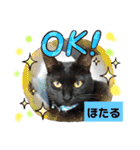 ほたるとこまち（個別スタンプ：4）