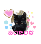 ほたるとこまち（個別スタンプ：13）