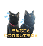 ほたるとこまち（個別スタンプ：14）