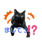 ほたるとこまち（個別スタンプ：15）