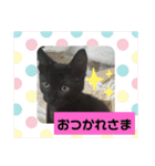 ほたるとこまち（個別スタンプ：16）