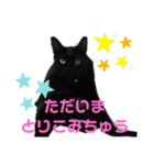 ほたるとこまち（個別スタンプ：17）