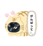 ほたるとこまち（個別スタンプ：18）