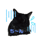 ほたるとこまち（個別スタンプ：19）