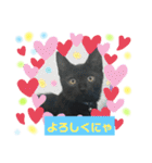 ほたるとこまち（個別スタンプ：21）