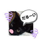 ほたるとこまち（個別スタンプ：25）