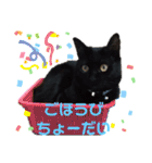 ほたるとこまち（個別スタンプ：26）