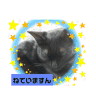 ほたるとこまち（個別スタンプ：28）
