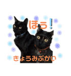 ほたるとこまち（個別スタンプ：29）