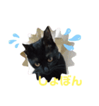 ほたるとこまち（個別スタンプ：30）