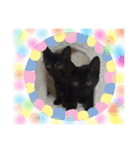 ほたるとこまち（個別スタンプ：39）