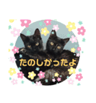 ほたるとこまち（個別スタンプ：40）