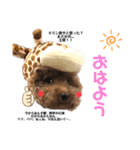 あんずちゃん♡スタンプ（個別スタンプ：1）