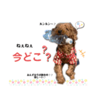 あんずちゃん♡スタンプ（個別スタンプ：6）