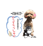 あんずちゃん♡スタンプ（個別スタンプ：8）