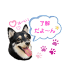 Lovely Mia ＆ Rose（個別スタンプ：5）