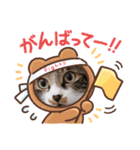 銀之丞の日常スタンプ（個別スタンプ：6）