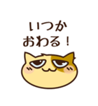 希望を捨てない高稼働SEねこ（個別スタンプ：18）