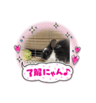 さくま6（個別スタンプ：4）