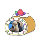 さくま6（個別スタンプ：5）