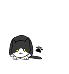 黒白ハチワレにゃんこ(英語)（個別スタンプ：31）