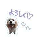 stamp015（個別スタンプ：2）