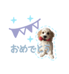 stamp015（個別スタンプ：4）