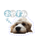 stamp015（個別スタンプ：5）