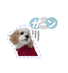 stamp015（個別スタンプ：7）